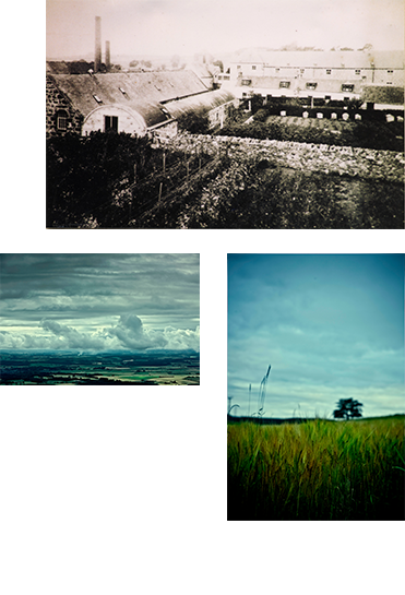 Images of grass field and some buildings