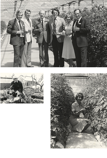 Images of some peoples