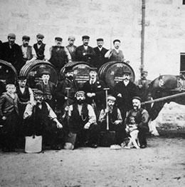 Image of some peoples